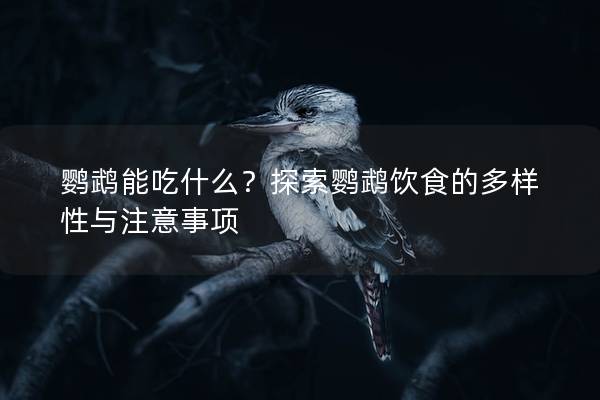 鹦鹉能吃什么？探索鹦鹉饮食的多样性与注意事项