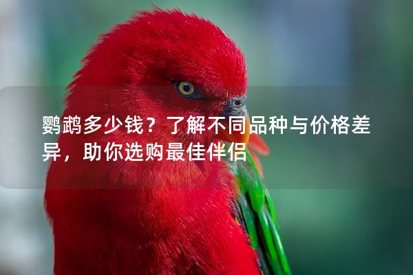 鹦鹉多少钱？了解不同品种与价格差异，助你选购最佳伴侣