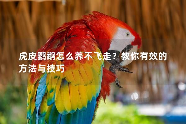 虎皮鹦鹉怎么养不飞走？教你有效的方法与技巧