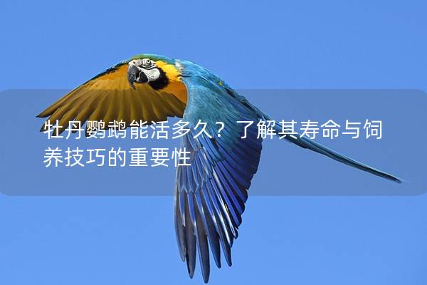 牡丹鹦鹉能活多久？了解其寿命与饲养技巧的重要性