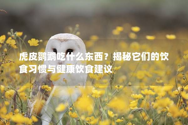 虎皮鹦鹉吃什么东西？揭秘它们的饮食习惯与健康饮食建议