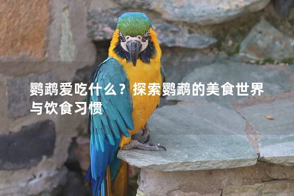 鹦鹉爱吃什么？探索鹦鹉的美食世界与饮食习惯