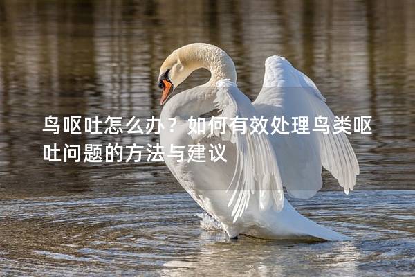 鸟呕吐怎么办？如何有效处理鸟类呕吐问题的方法与建议