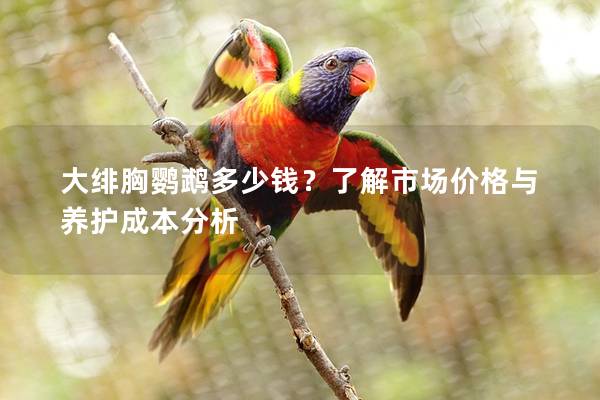 大绯胸鹦鹉多少钱？了解市场价格与养护成本分析