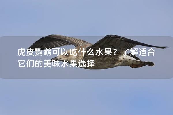 虎皮鹦鹉可以吃什么水果？了解适合它们的美味水果选择