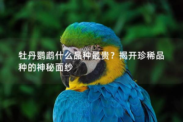 牡丹鹦鹉什么品种最贵？揭开珍稀品种的神秘面纱