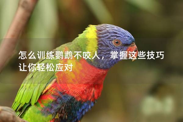 怎么训练鹦鹉不咬人，掌握这些技巧让你轻松应对