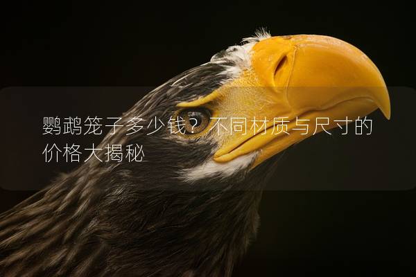 鹦鹉笼子多少钱？不同材质与尺寸的价格大揭秘