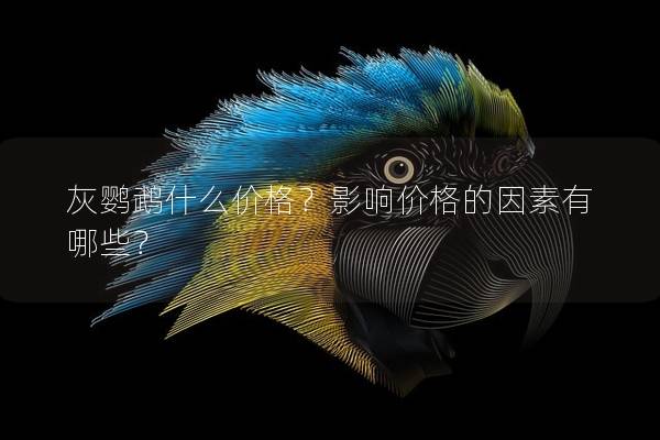 灰鹦鹉什么价格？影响价格的因素有哪些？