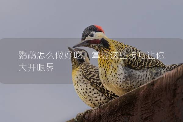 鹦鹉怎么做好吃，掌握这些技巧让你大开眼界