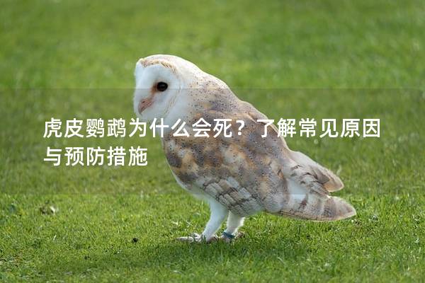 虎皮鹦鹉为什么会死？了解常见原因与预防措施