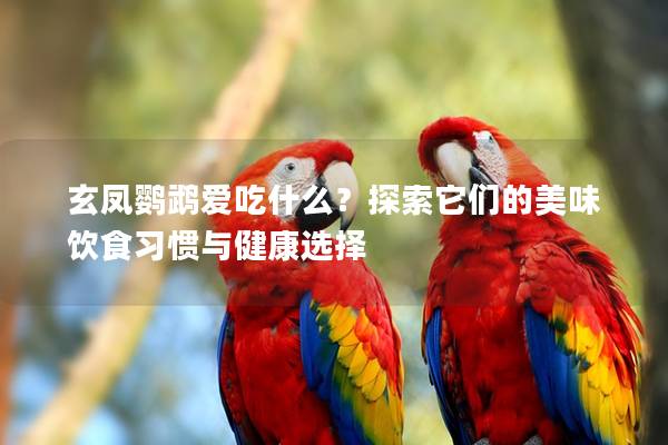 玄凤鹦鹉爱吃什么？探索它们的美味饮食习惯与健康选择
