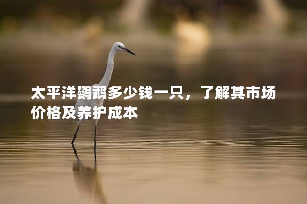 太平洋鹦鹉多少钱一只，了解其市场价格及养护成本