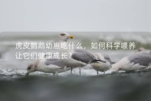 虎皮鹦鹉幼崽吃什么，如何科学喂养让它们健康成长？