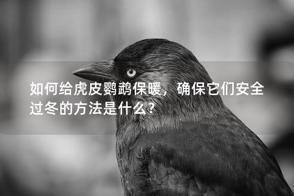 如何给虎皮鹦鹉保暖，确保它们安全过冬的方法是什么？