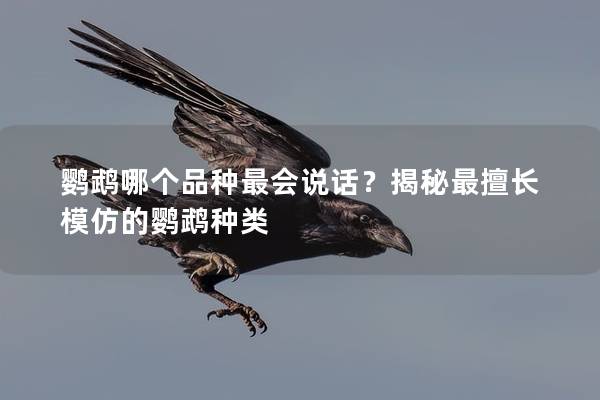 鹦鹉哪个品种最会说话？揭秘最擅长模仿的鹦鹉种类