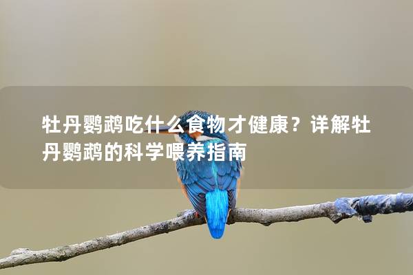 牡丹鹦鹉吃什么食物才健康？详解牡丹鹦鹉的科学喂养指南