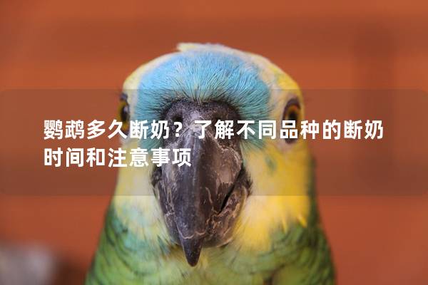 鹦鹉多久断奶？了解不同品种的断奶时间和注意事项