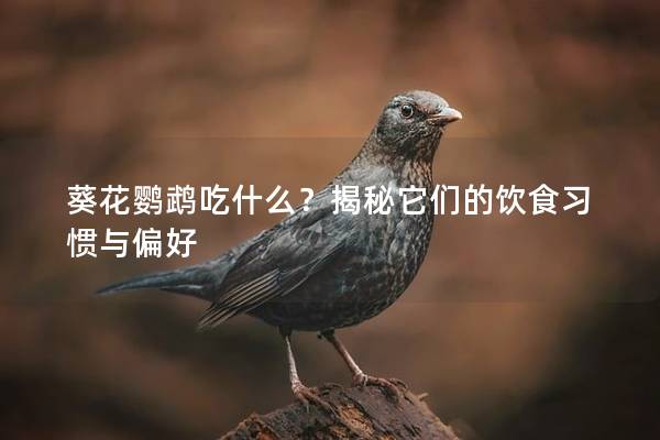 葵花鹦鹉吃什么？揭秘它们的饮食习惯与偏好