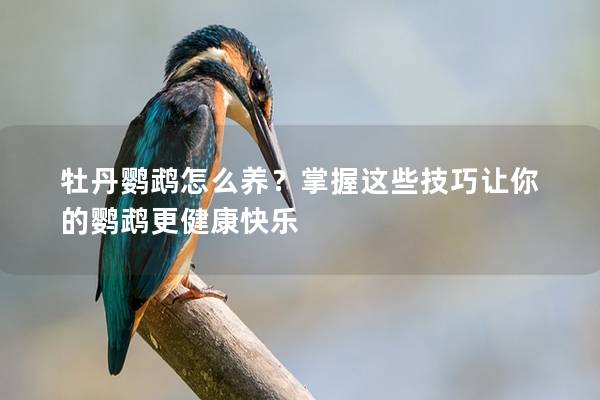牡丹鹦鹉怎么养？掌握这些技巧让你的鹦鹉更健康快乐