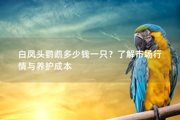 白凤头鹦鹉多少钱一只？了解市场行情与养护成本