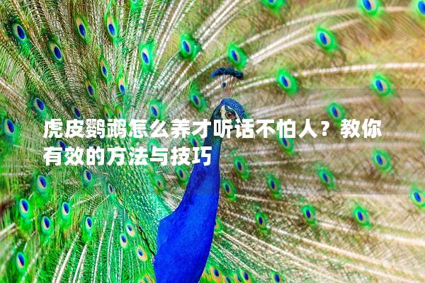 虎皮鹦鹉怎么养才听话不怕人？教你有效的方法与技巧