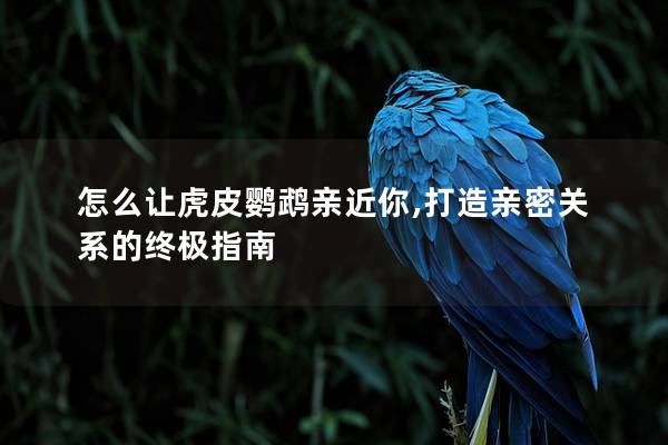 怎么让虎皮鹦鹉亲近你,打造亲密关系的终极指南