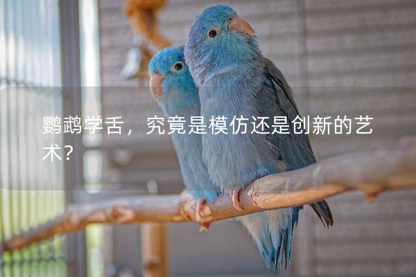 鹦鹉学舌，究竟是模仿还是创新的艺术？