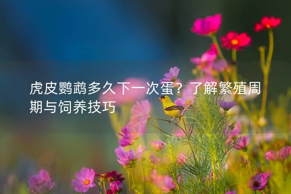 虎皮鹦鹉多久下一次蛋？了解繁殖周期与饲养技巧
