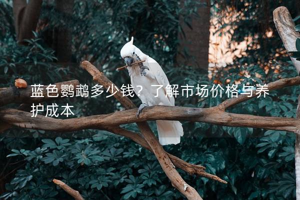 蓝色鹦鹉多少钱？了解市场价格与养护成本