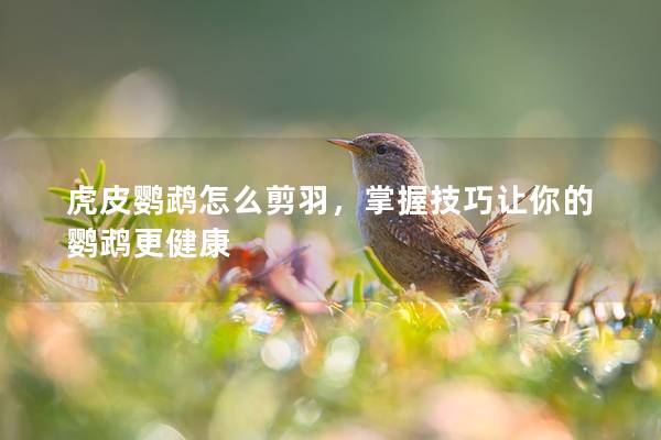 虎皮鹦鹉怎么剪羽，掌握技巧让你的鹦鹉更健康