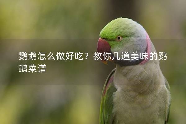 鹦鹉怎么做好吃？教你几道美味的鹦鹉菜谱