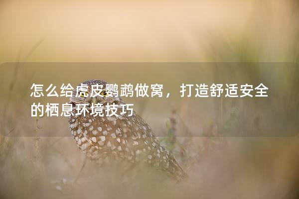 怎么给虎皮鹦鹉做窝，打造舒适安全的栖息环境技巧