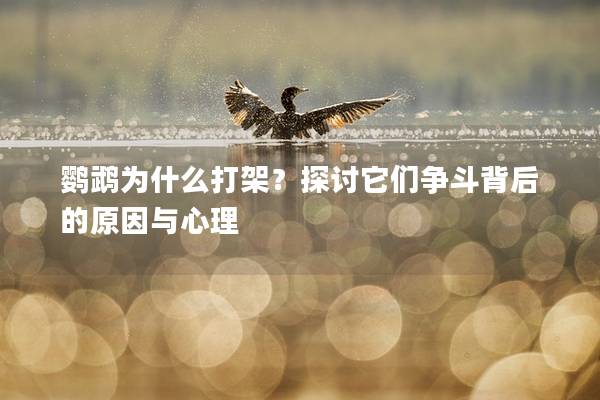 鹦鹉为什么打架？探讨它们争斗背后的原因与心理