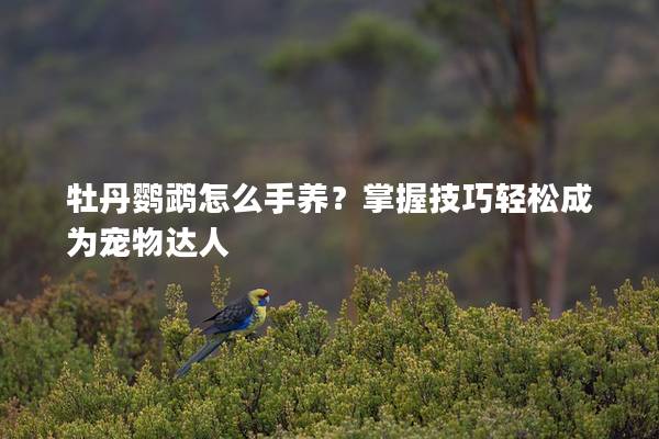 牡丹鹦鹉怎么手养？掌握技巧轻松成为宠物达人