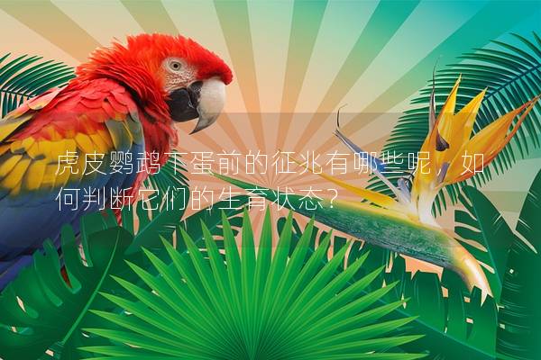 虎皮鹦鹉下蛋前的征兆有哪些呢，如何判断它们的生育状态？