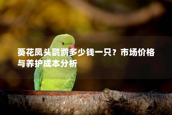 葵花凤头鹦鹉多少钱一只？市场价格与养护成本分析