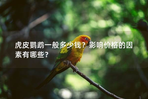 虎皮鹦鹉一般多少钱？影响价格的因素有哪些？