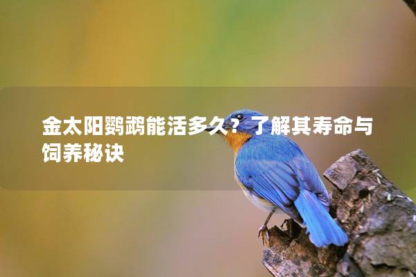 金太阳鹦鹉能活多久？了解其寿命与饲养秘诀