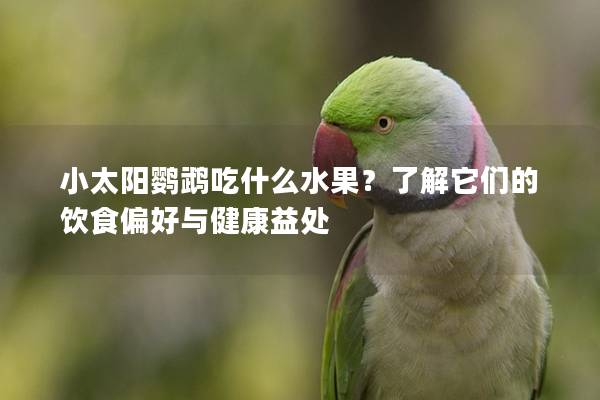 小太阳鹦鹉吃什么水果？了解它们的饮食偏好与健康益处