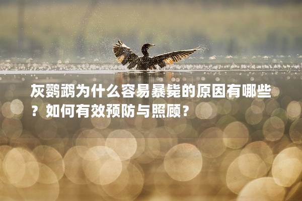 灰鹦鹉为什么容易暴毙的原因有哪些？如何有效预防与照顾？