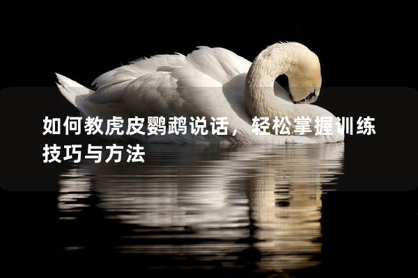如何教虎皮鹦鹉说话，轻松掌握训练技巧与方法