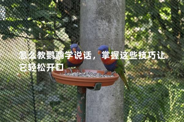 怎么教鹦鹉学说话，掌握这些技巧让它轻松开口