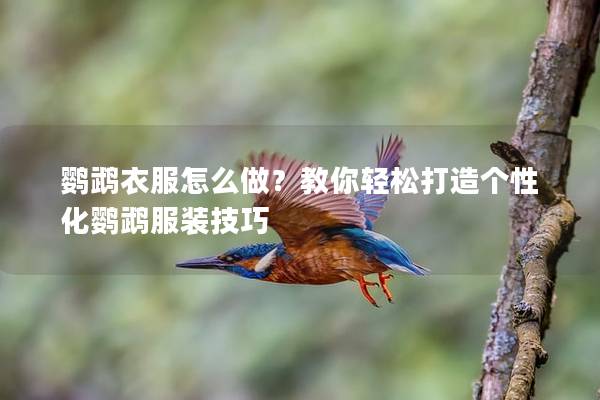 鹦鹉衣服怎么做？教你轻松打造个性化鹦鹉服装技巧