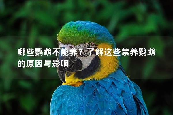哪些鹦鹉不能养？了解这些禁养鹦鹉的原因与影响