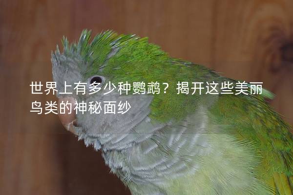 世界上有多少种鹦鹉？揭开这些美丽鸟类的神秘面纱
