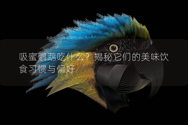 吸蜜鹦鹉吃什么？揭秘它们的美味饮食习惯与偏好