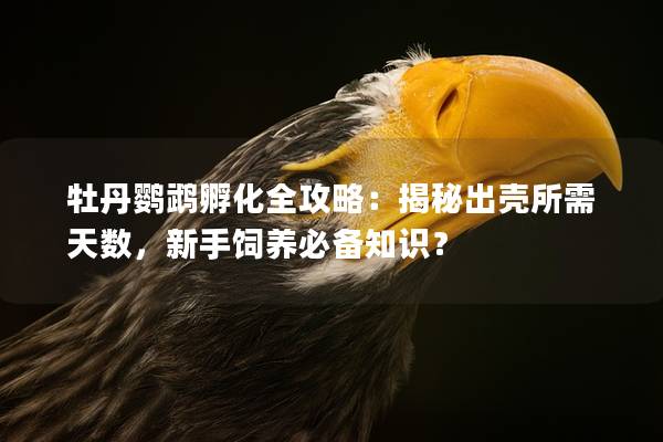 牡丹鹦鹉孵化全攻略：揭秘出壳所需天数，新手饲养必备知识？