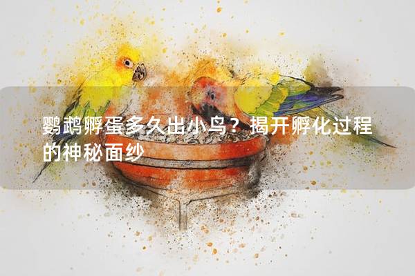 鹦鹉孵蛋多久出小鸟？揭开孵化过程的神秘面纱
