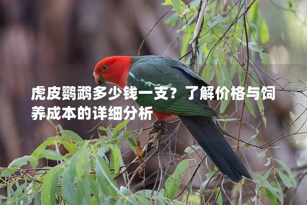 虎皮鹦鹉多少钱一支？了解价格与饲养成本的详细分析